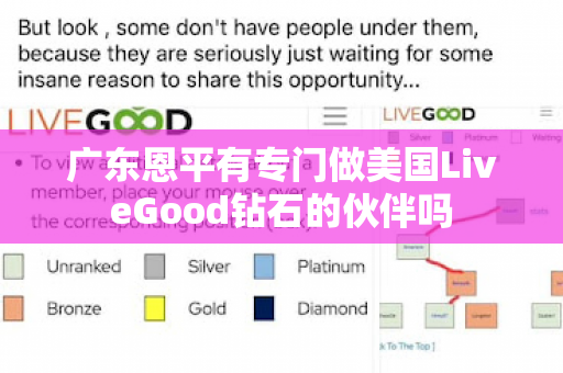 广东恩平有专门做美国LiveGood钻石的伙伴吗